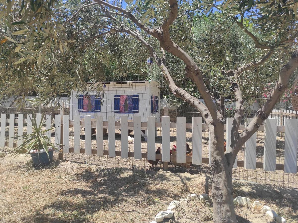 Villa Le Grand Bleu Katapola Luaran gambar